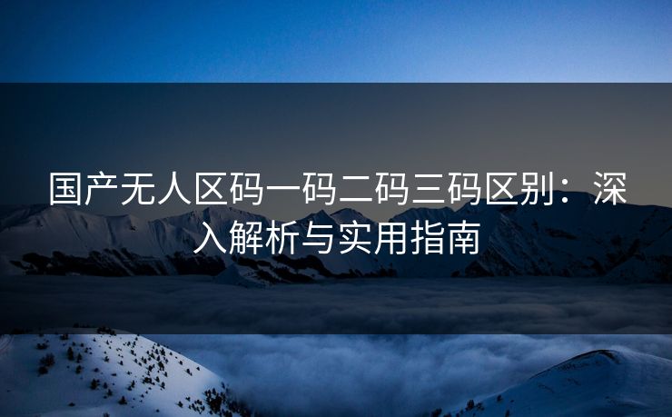 国产无人区码一码二码三码区别：深入解析与实用指南