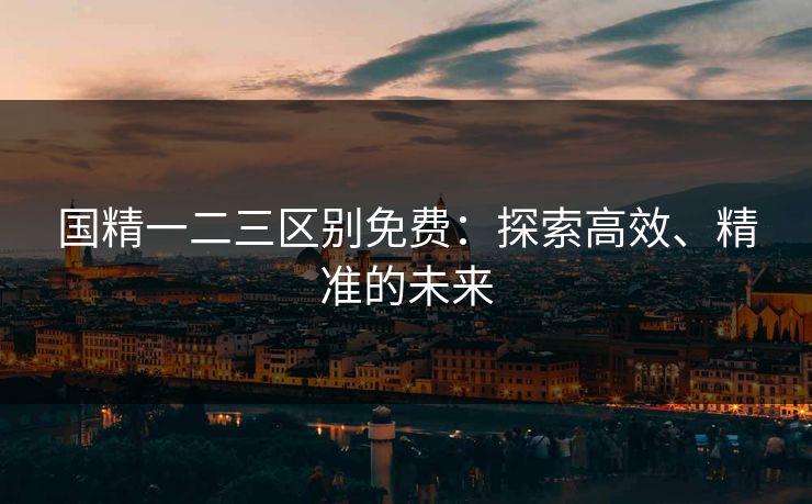 国精一二三区别免费:探索高效、精准的未来