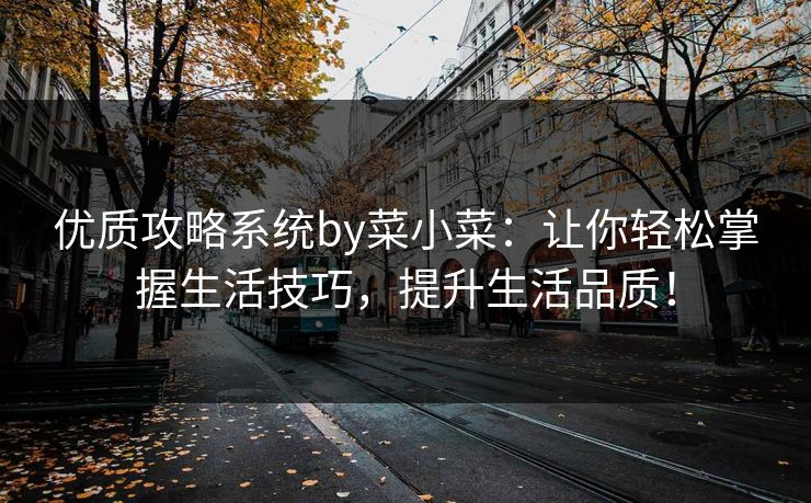 优质攻略系统by菜小菜:让你轻松掌握生活技巧,提升生活品质!