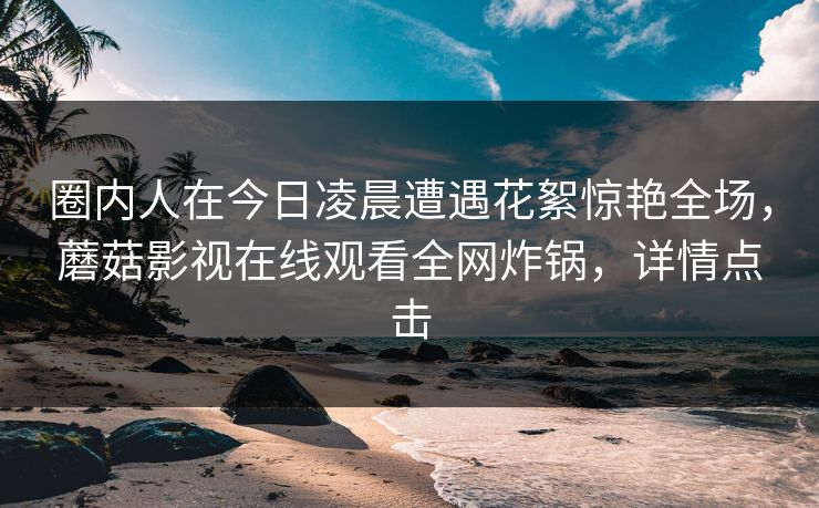 圈内人在今日凌晨遭遇花絮惊艳全场，蘑菇影视在线观看全网炸锅，详情点击